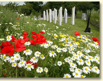 Brigid's Garden Flowers